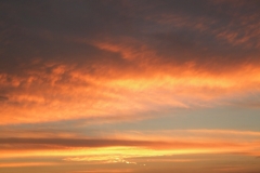 Sunset61